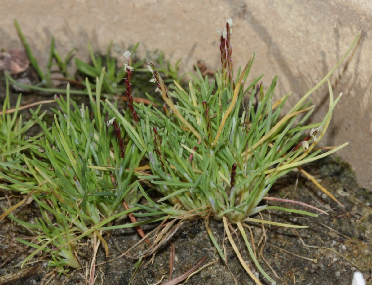 IMG_9725.JPG (305.71 KiB) 1089 mal betrachtet IMG_9725.JPG