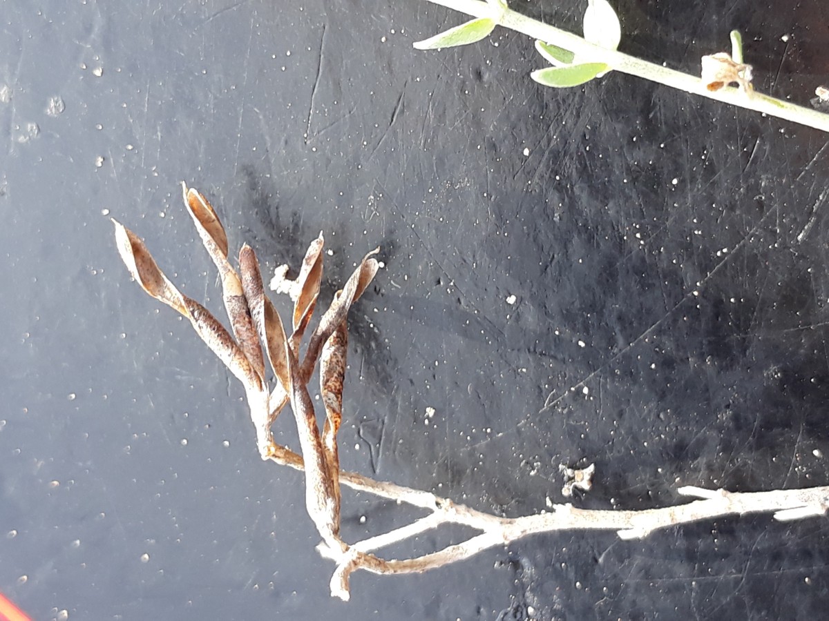 20200212_160001.jpg        x Kopie.jpg