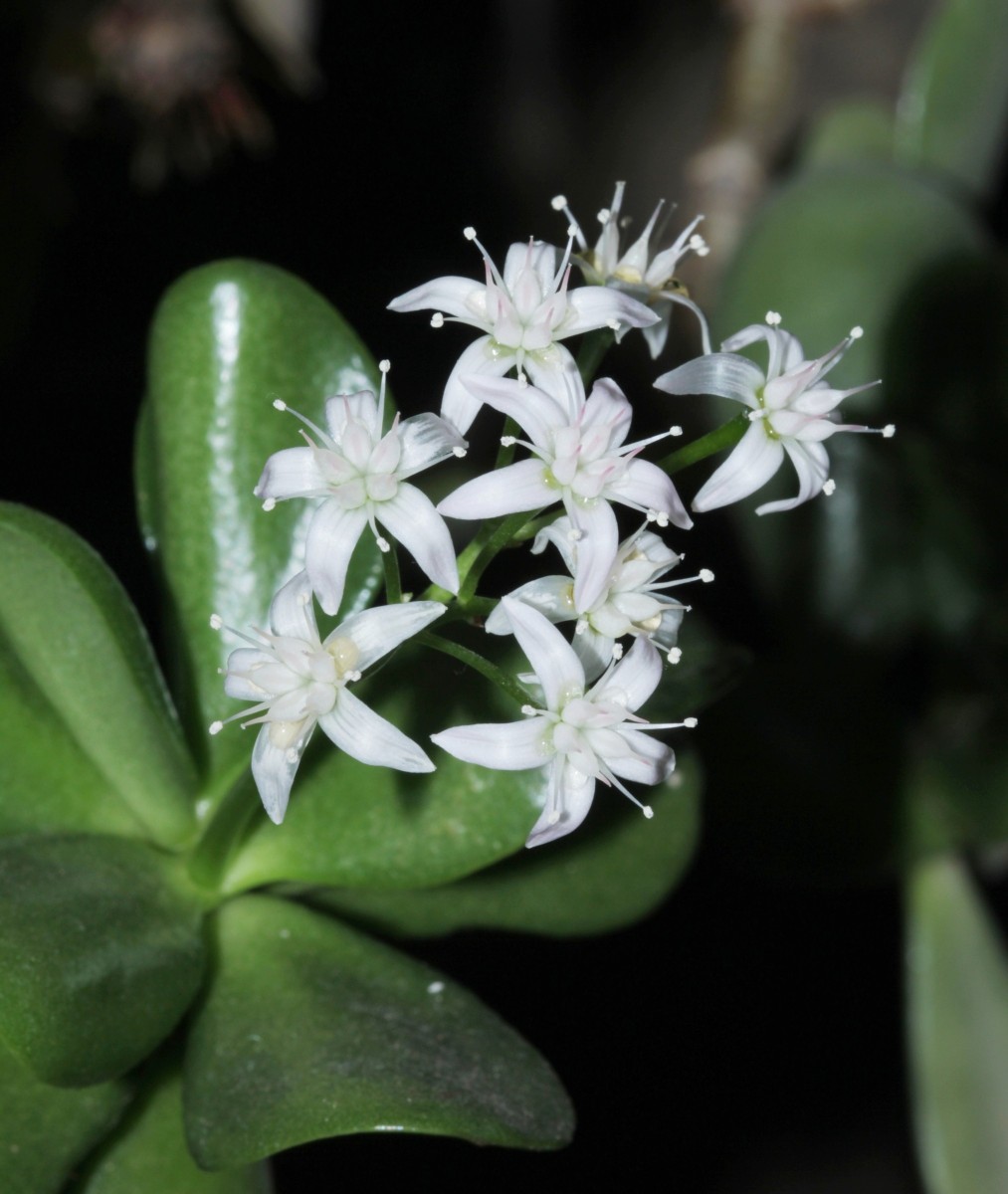 IMG_9740.JPG (500.41 KiB) 847 mal betrachtet IMG_9740.JPG