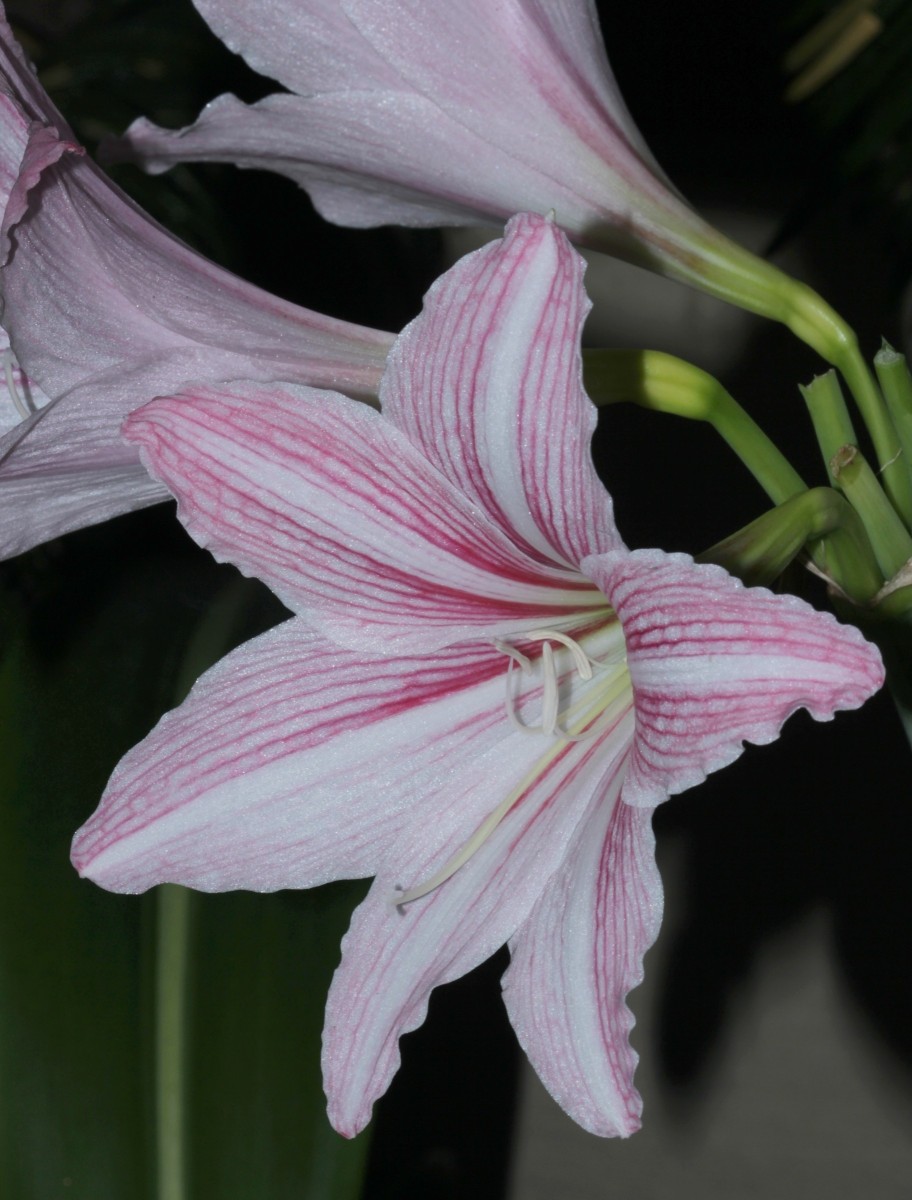 IMG_9767.JPG (595.41 KiB) 972 mal betrachtet IMG_9767.JPG