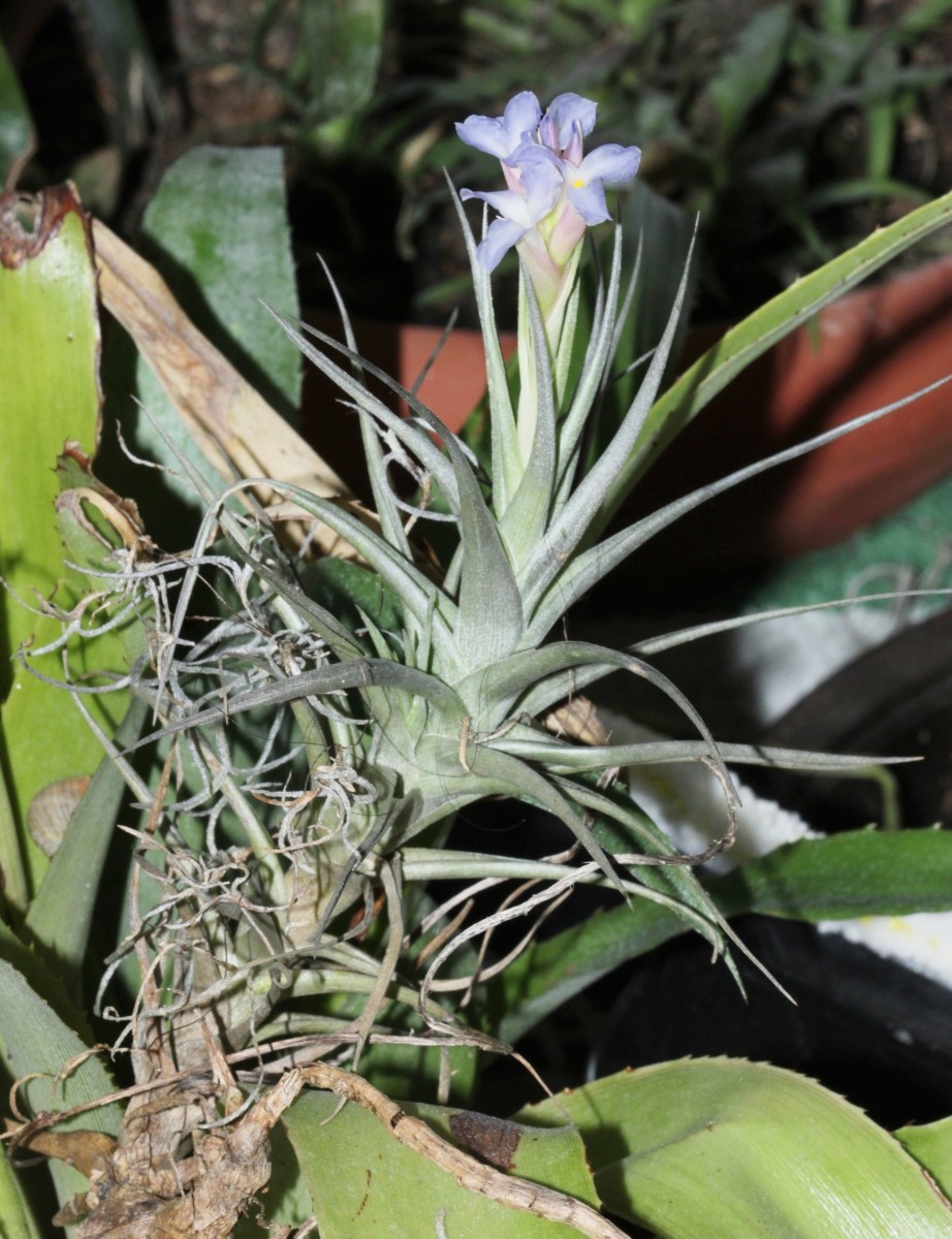 IMG_9769.JPG (767.63 KiB) 972 mal betrachtet IMG_9769.JPG