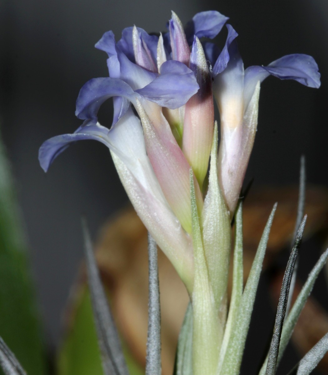 IMG_9770.JPG (489.84 KiB) 972 mal betrachtet IMG_9770.JPG