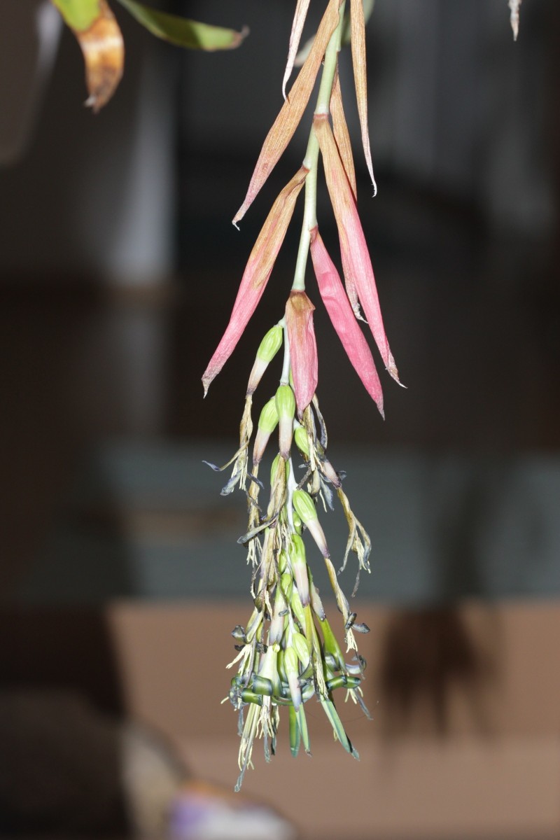 IMG_9779.JPG (417.84 KiB) 972 mal betrachtet IMG_9779.JPG