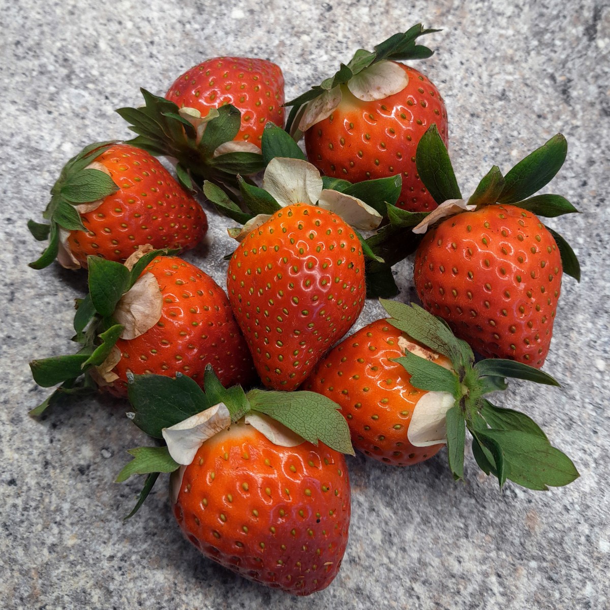 erdbeeren_mit_bluetenblaettern_2026-02-10 (2)_psd.jpg (1.6 MiB) 17 mal betrachtet erdbeeren_mit_bluetenblaettern_2026-02-10 (2)_psd.jpg