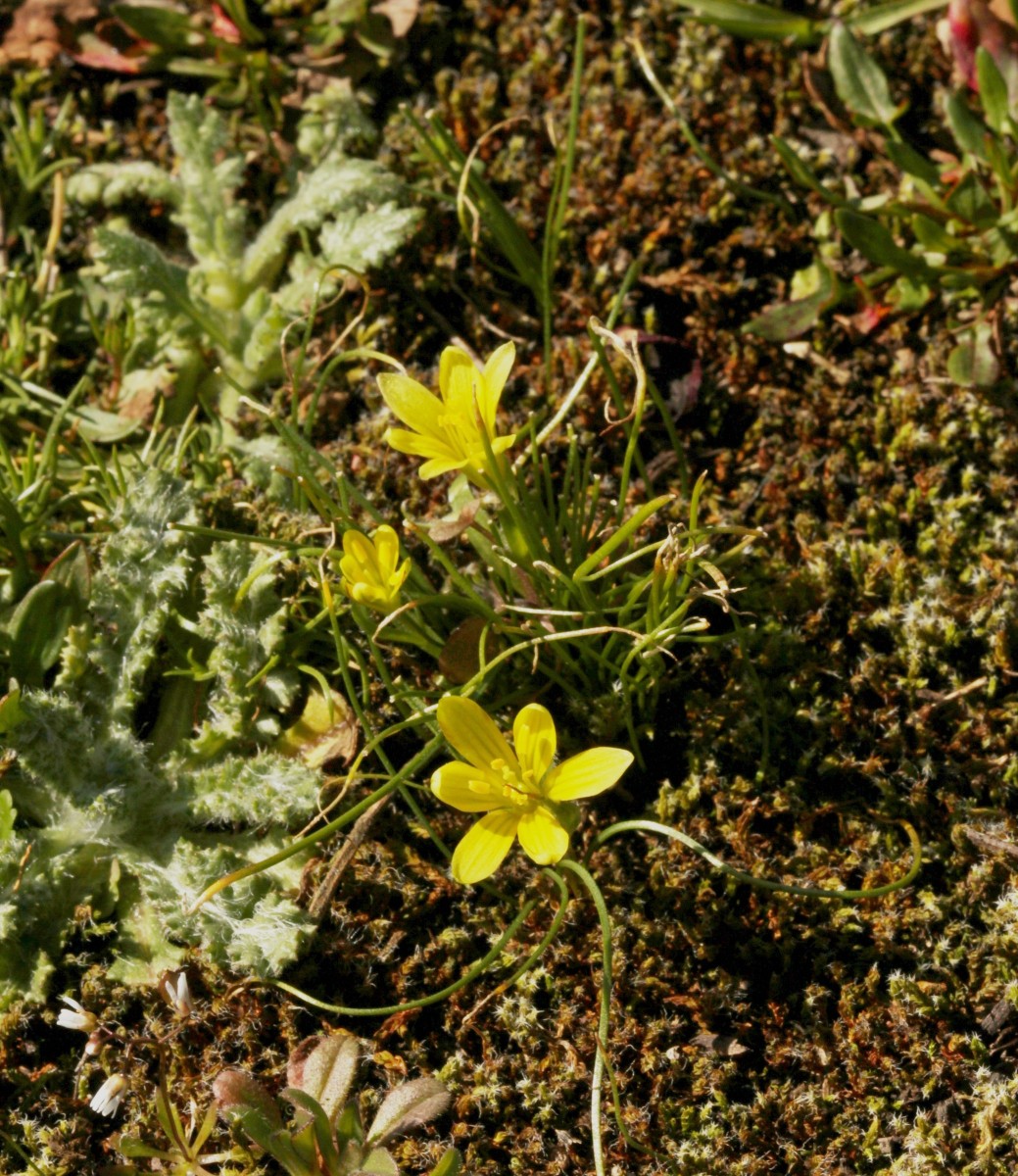 IMG_9819.JPG (1.2 MiB) 709 mal betrachtet IMG_9819.JPG