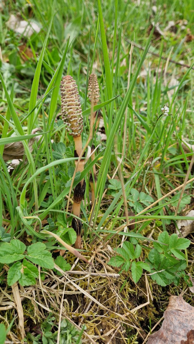 WhatsApp Image 2026-04-17 at 14.08.34.jpeg