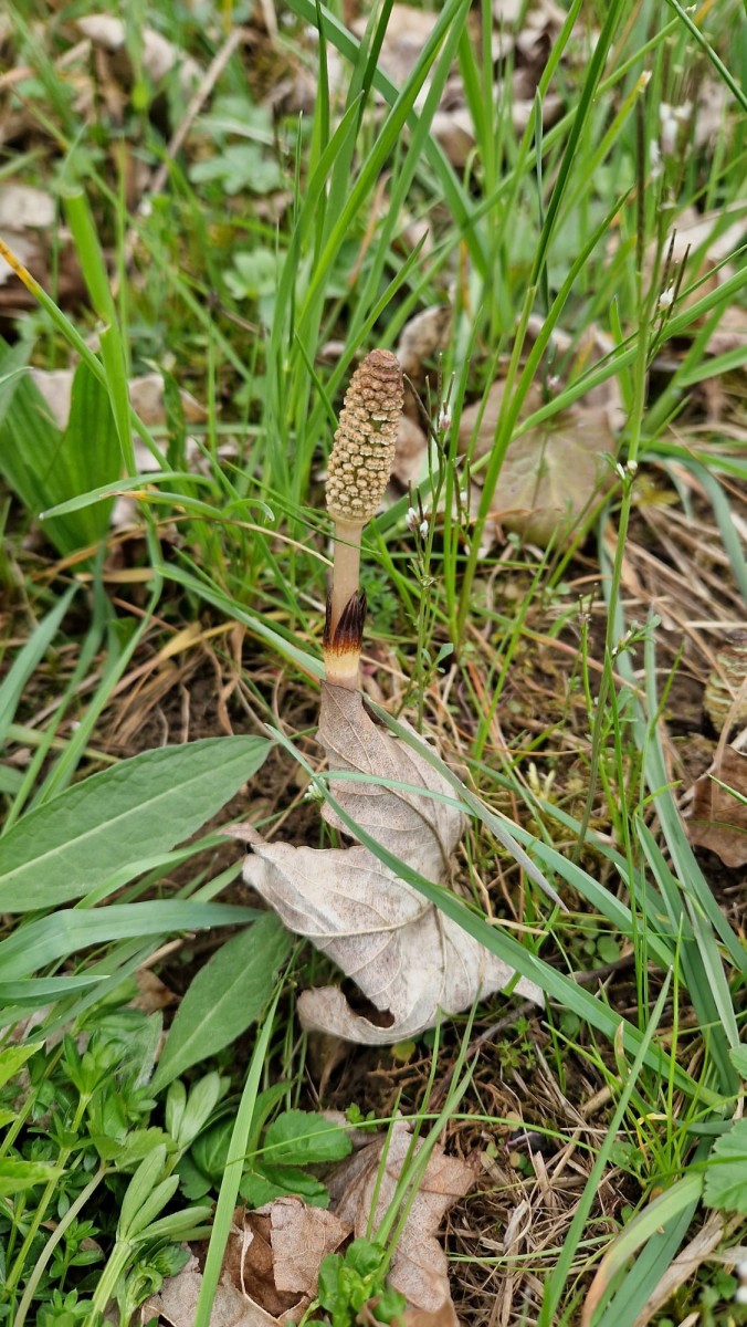 WhatsApp Image 2026-04-17 at 14.08.35.jpeg