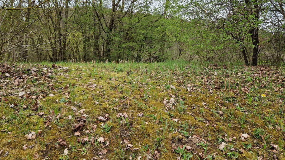 WhatsApp Image 2026-04-17 at 14.08.37.jpeg