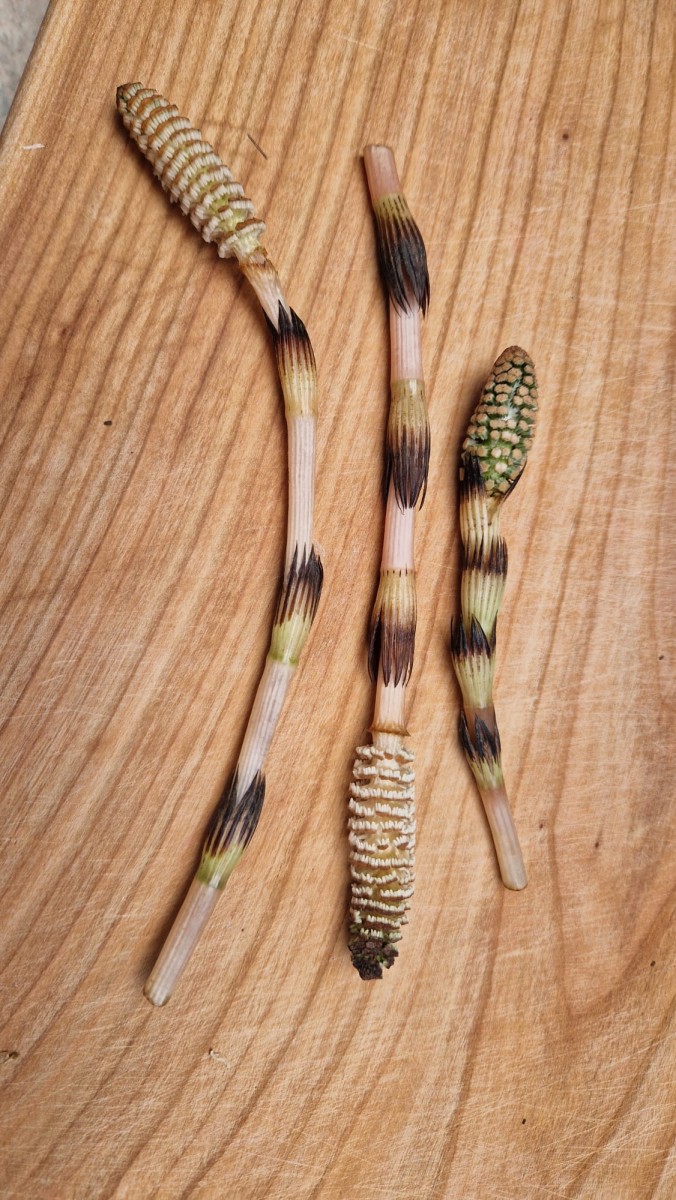 WhatsApp Image 2026-04-17 at 14.17.53.jpeg