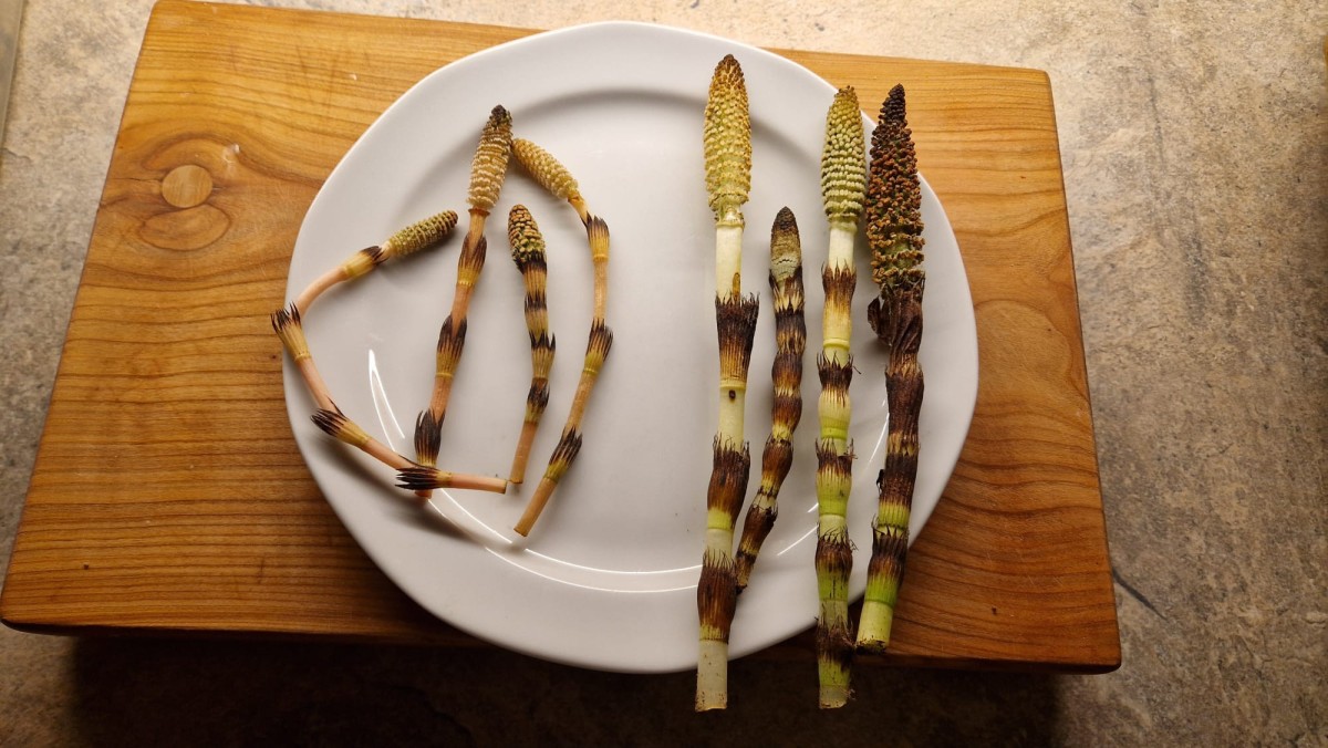 WhatsApp Image 2026-04-18 at 16.33.31.jpeg