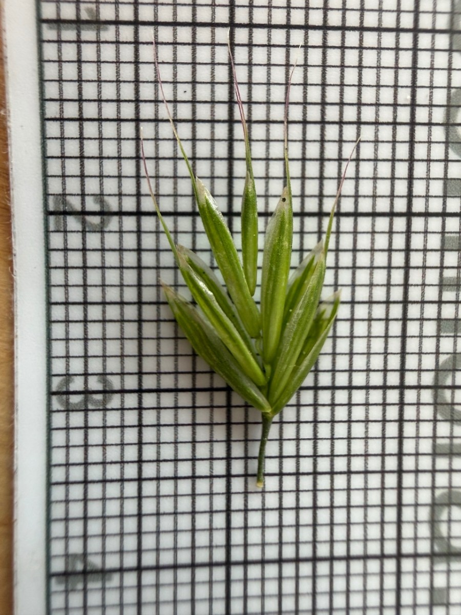 Groß (IMG_1448).jpeg