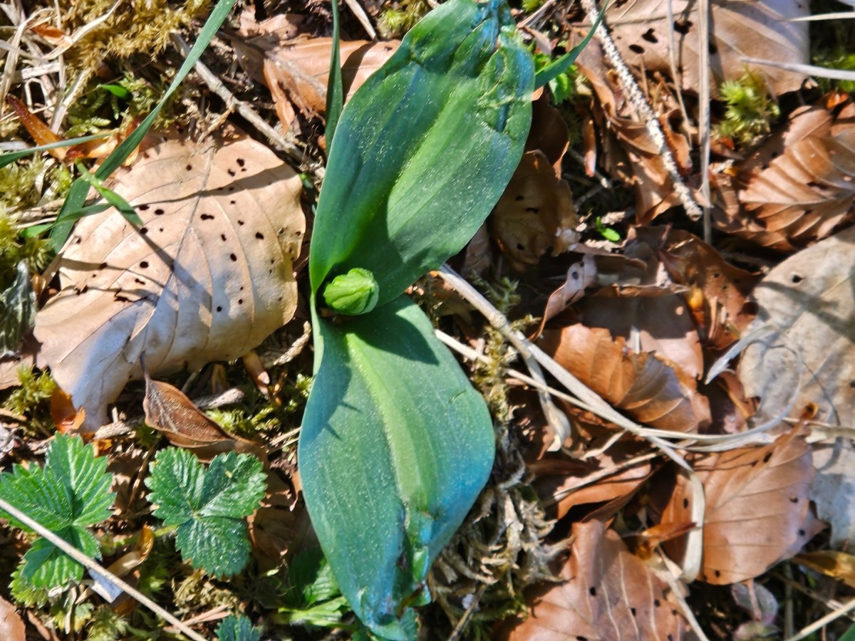 20260424_095851.jpg