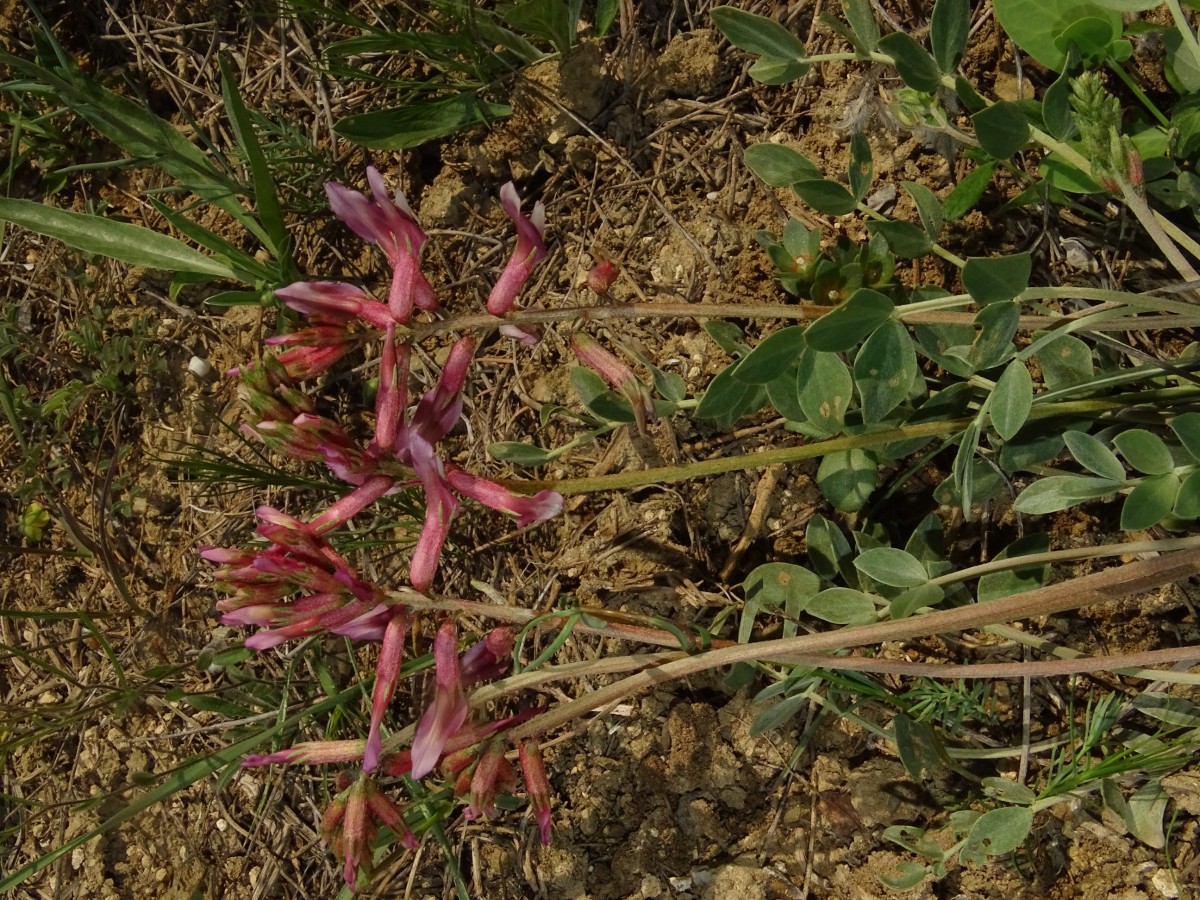 DSC00396.JPG