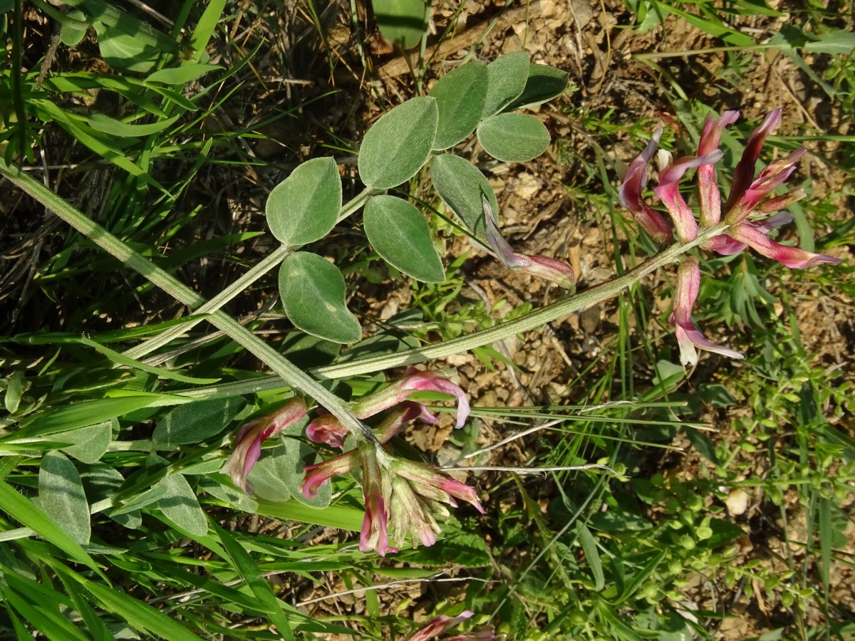 DSC00484.JPG
