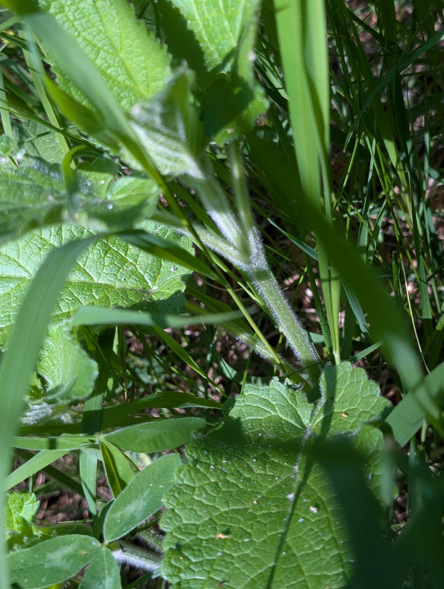PXL_20260527_080942856.jpg