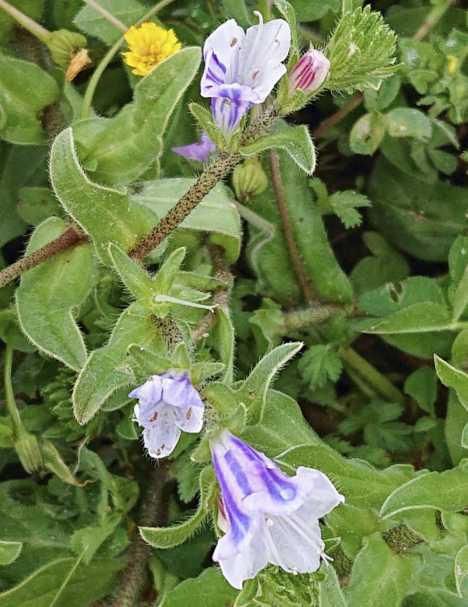 DSC05996_3.jpg