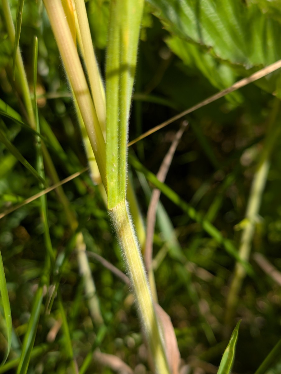 PXL_20260607_085903441.jpg