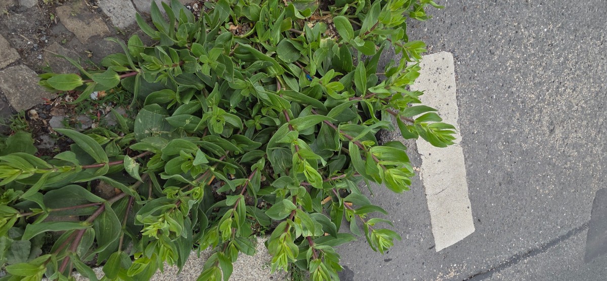 20260609_140713.jpg