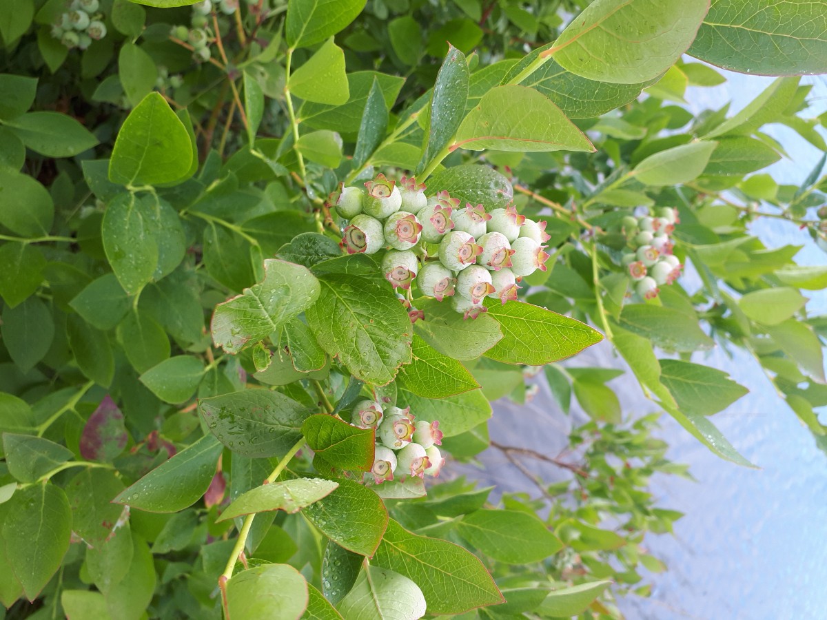 20260605_134012.jpg