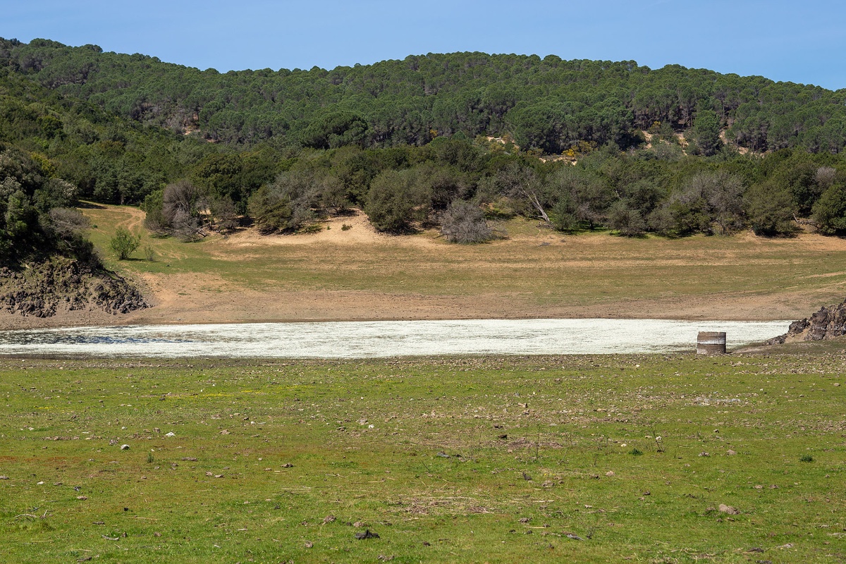 Der „Weiße See“, besetzt mit Ranunculus peltatus