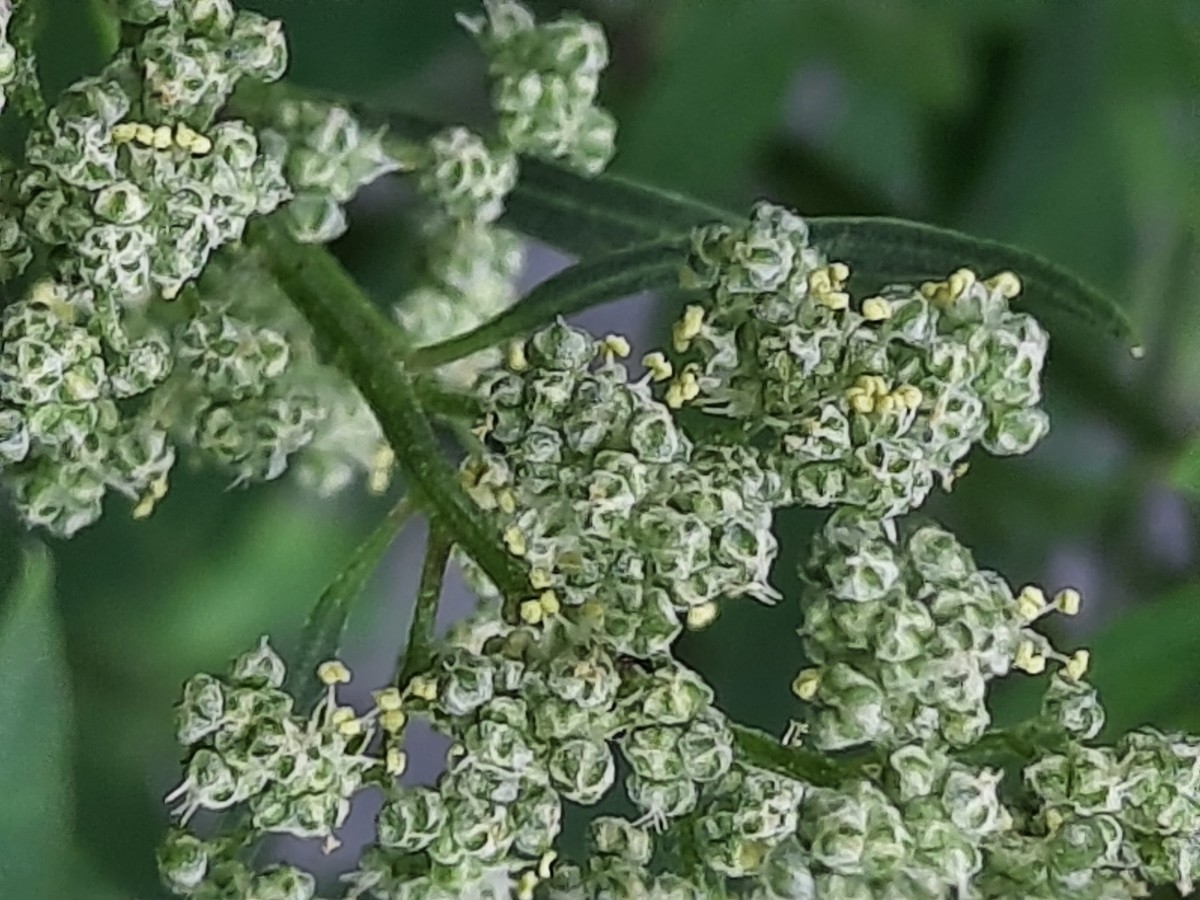 20250804_131018.jpg