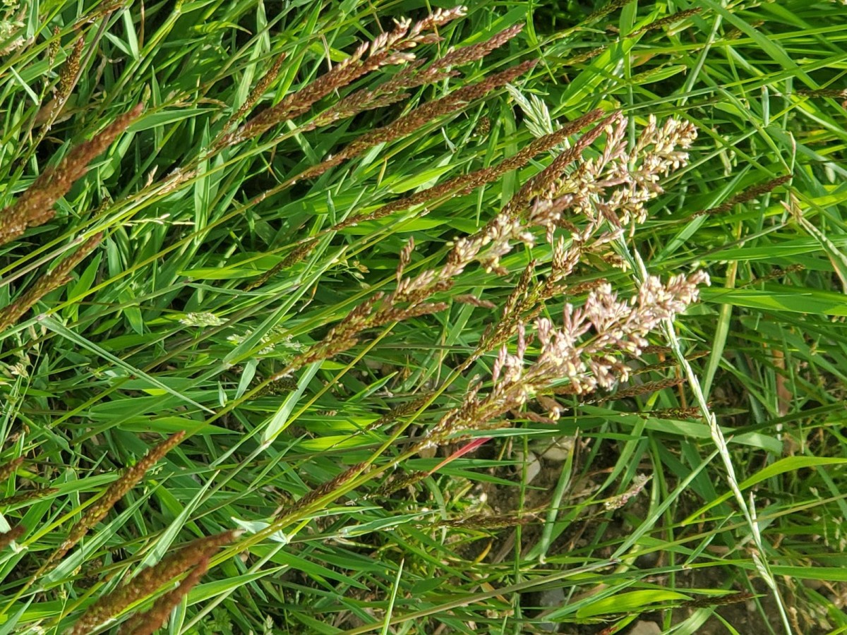K1600_20260617_090603.JPG