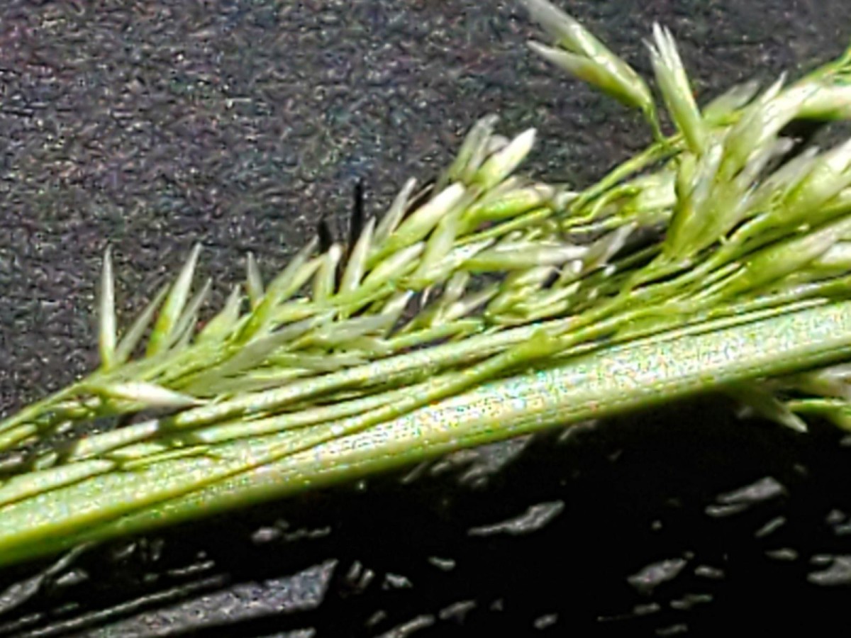 K1600_20260619_100149.JPG