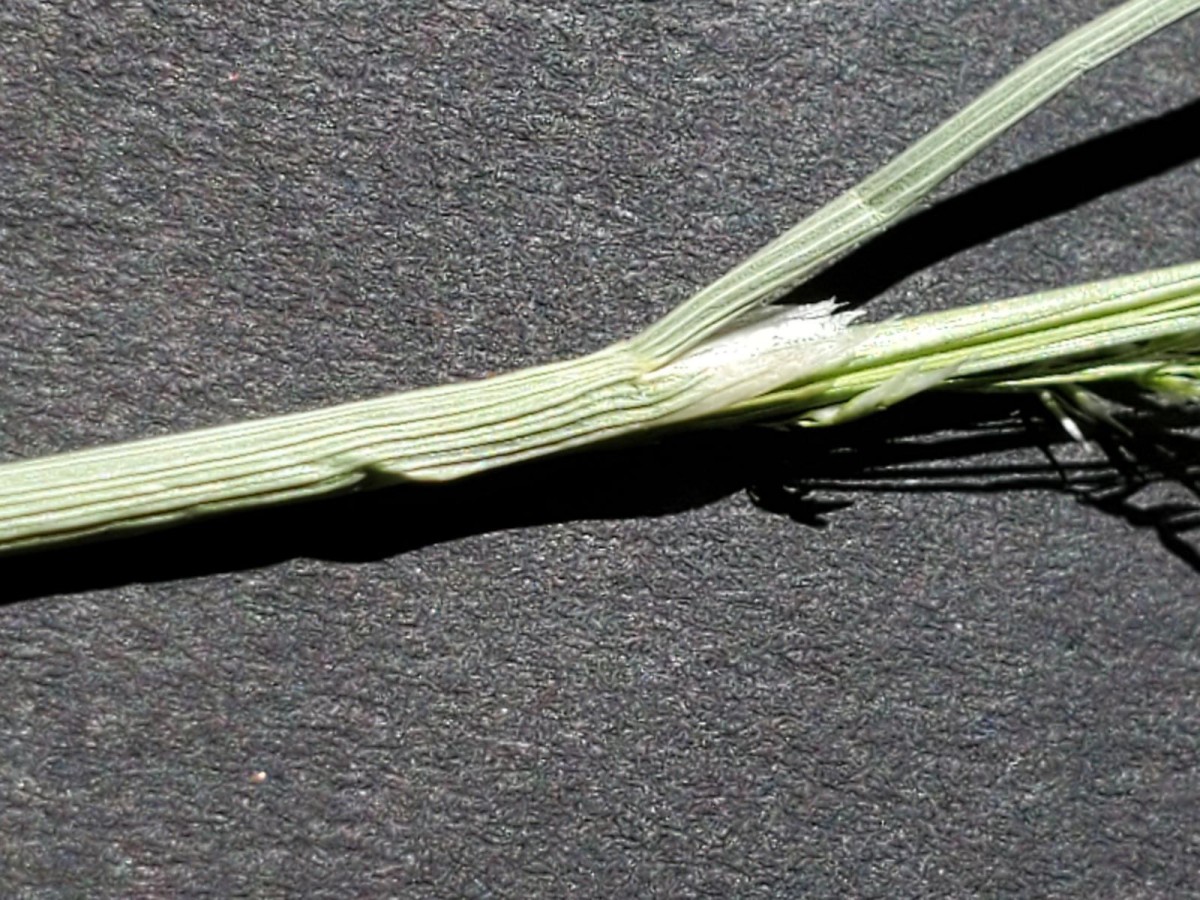 K1600_20260619_100224.JPG