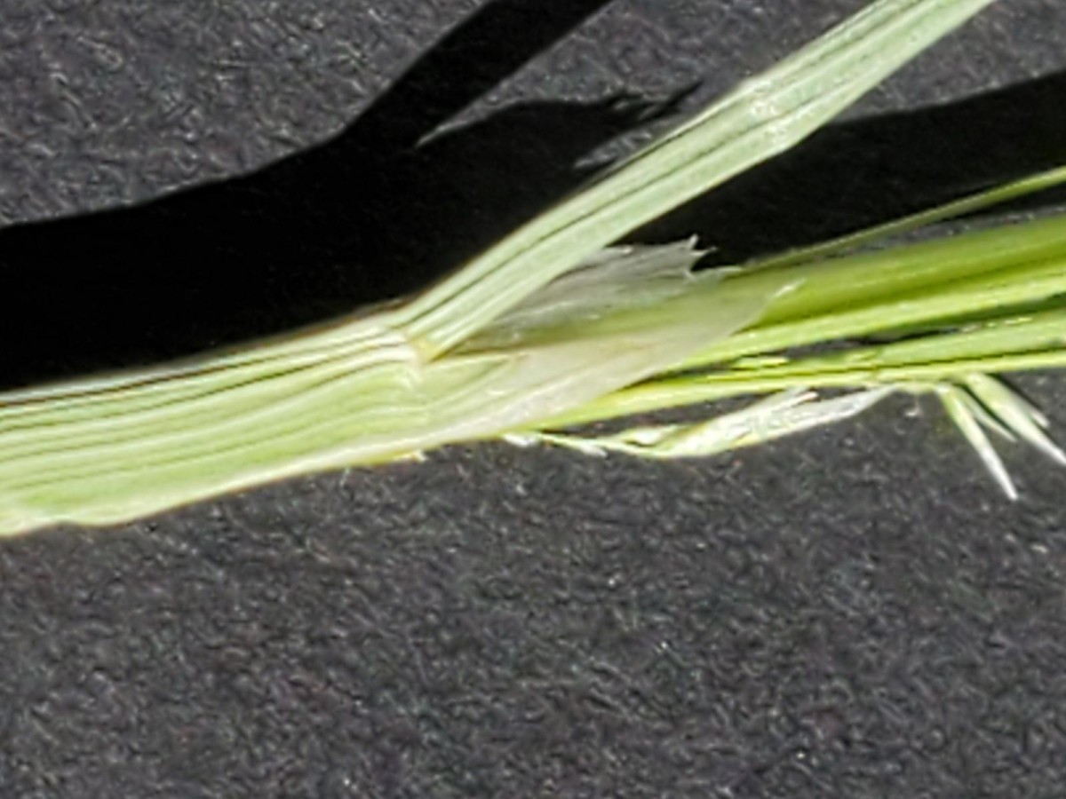 K1600_20260619_101125.JPG