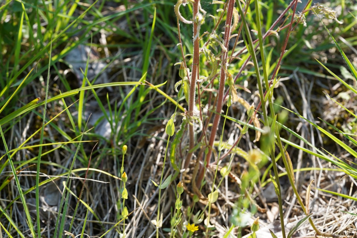 DSC00119.JPG