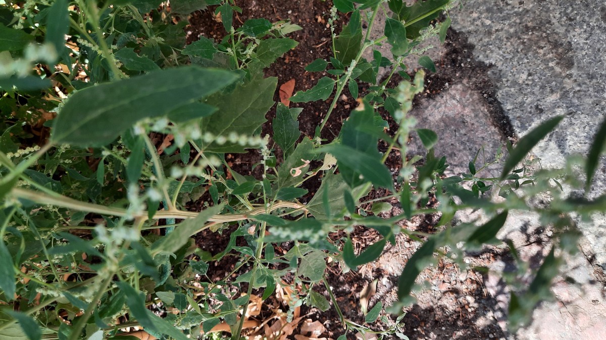 20260725_143458.jpg