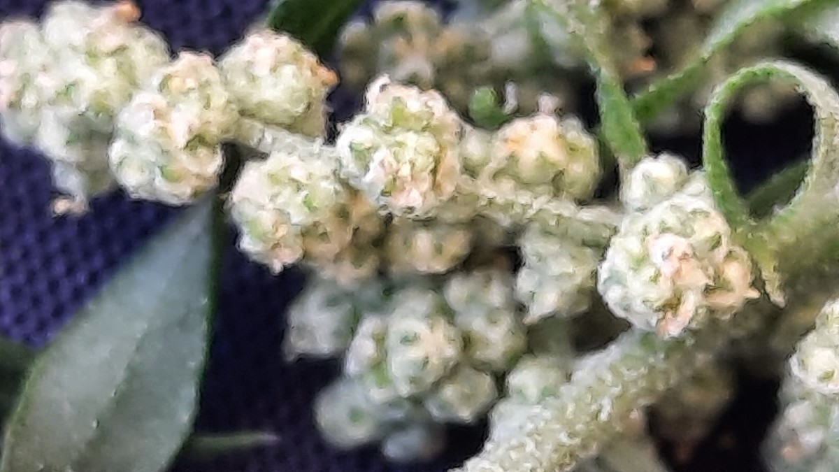 20260725_193600.jpg