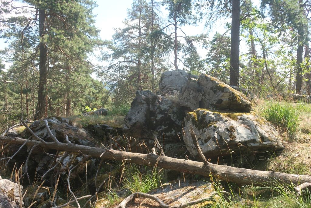 Peterleinstein 1_2026-07-28.jpg