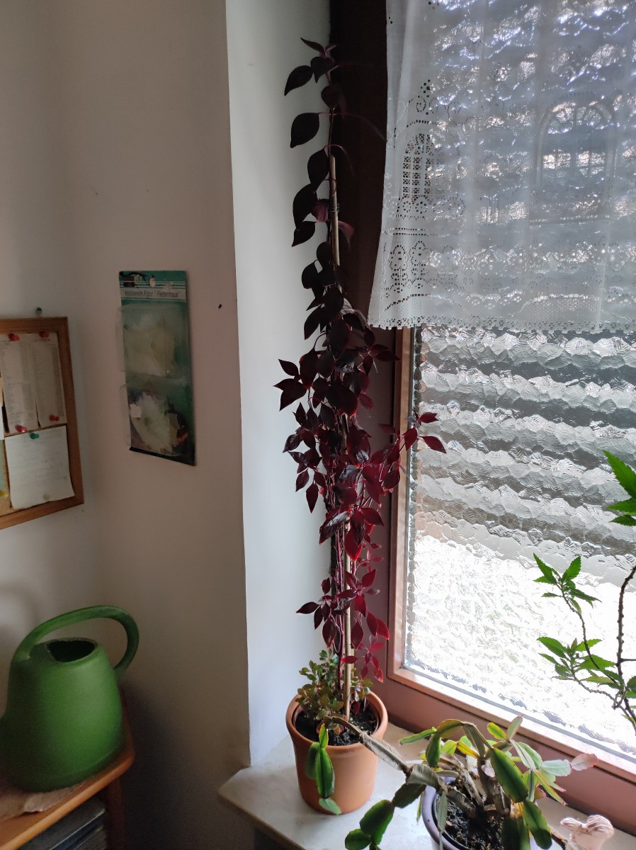 Ansicht 3