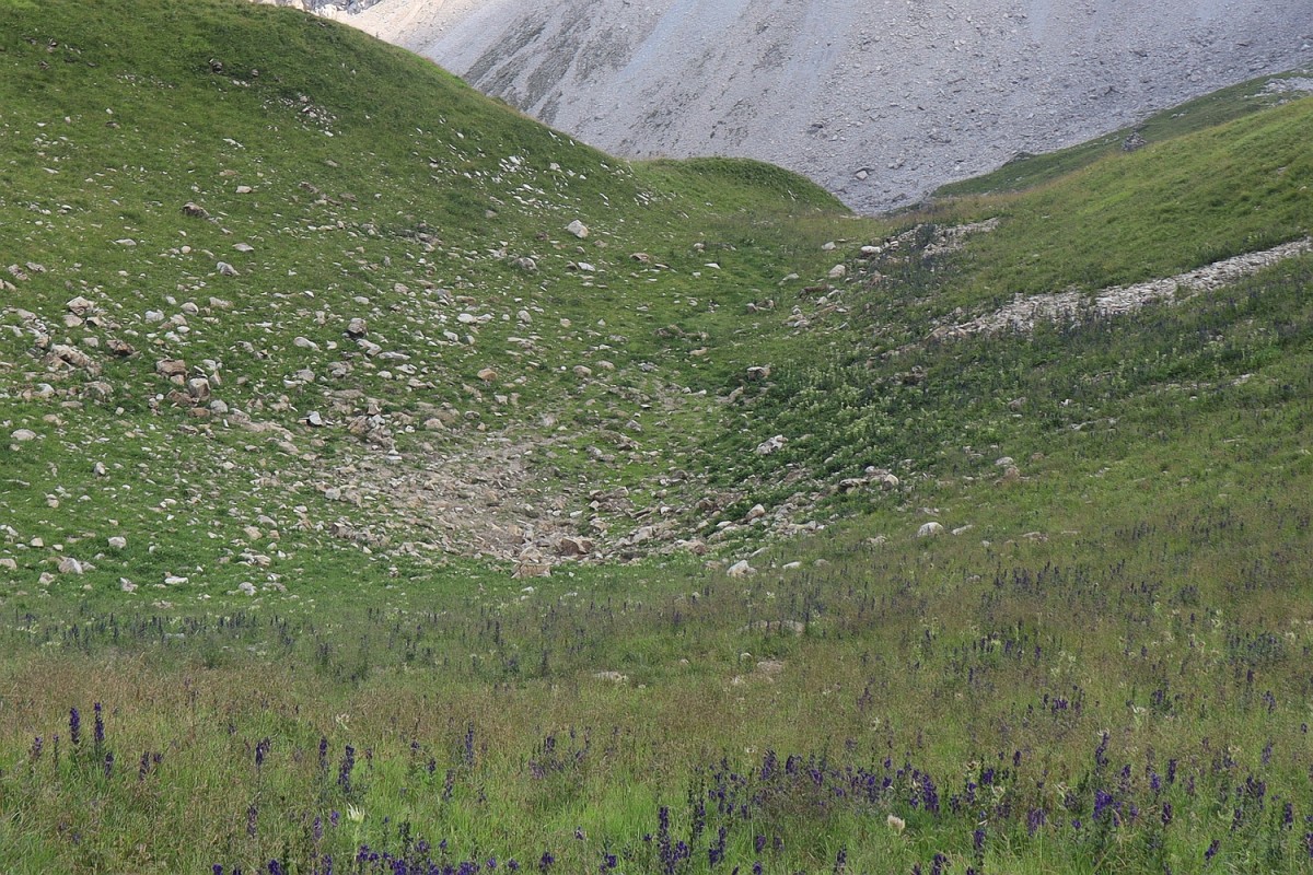 Habitat_Hochkarmulde_05.jpg