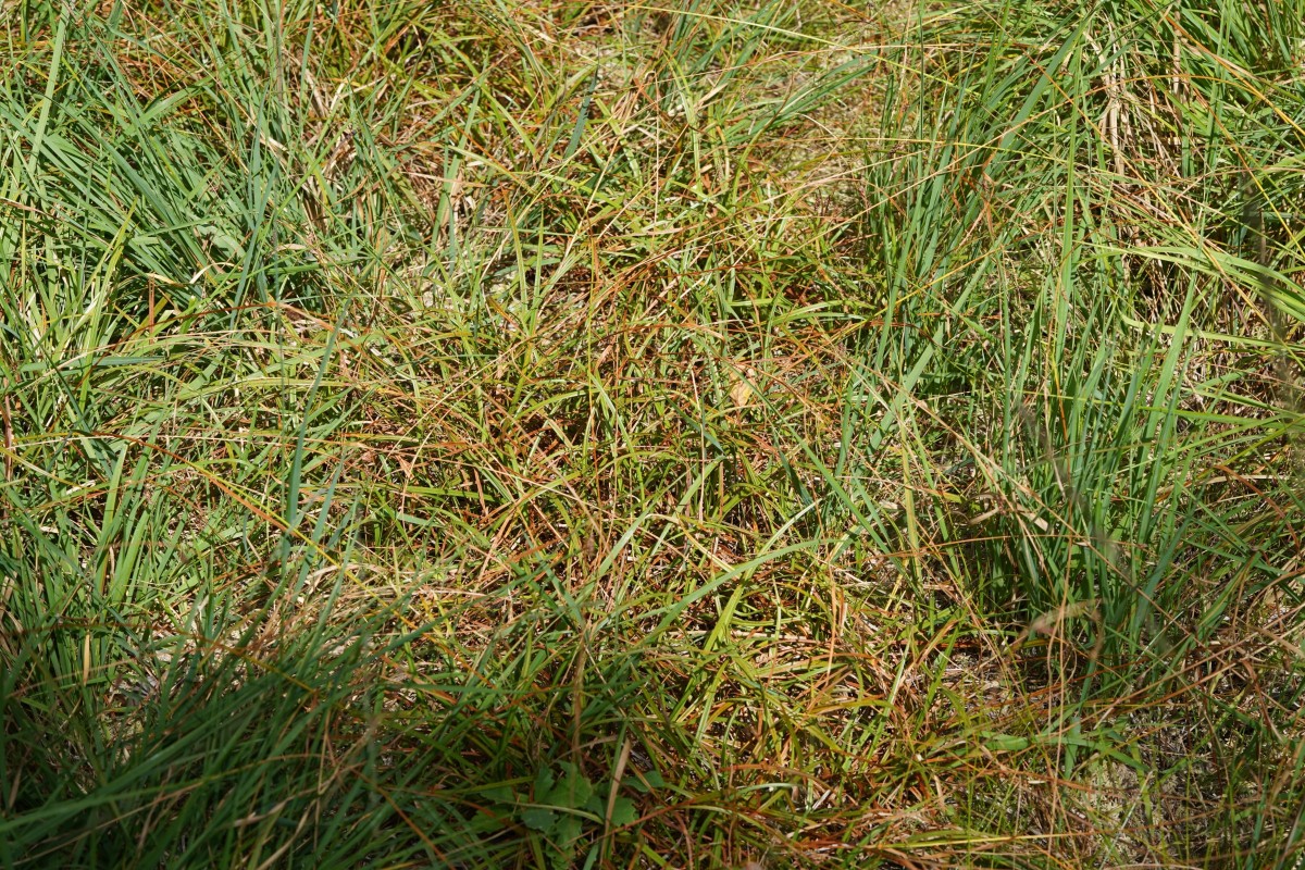 DSC06210.JPG