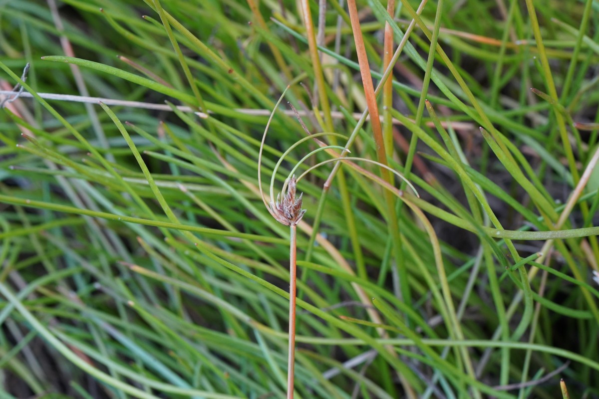 DSC05952.JPG