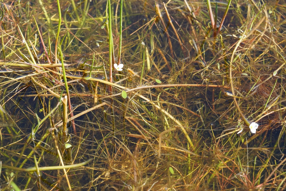 DSC06871.JPG
