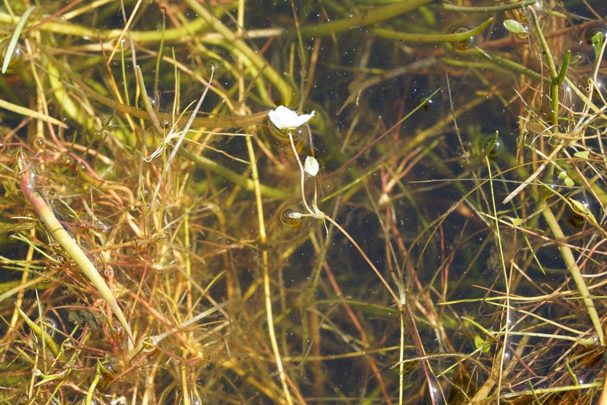 DSC06877.JPG