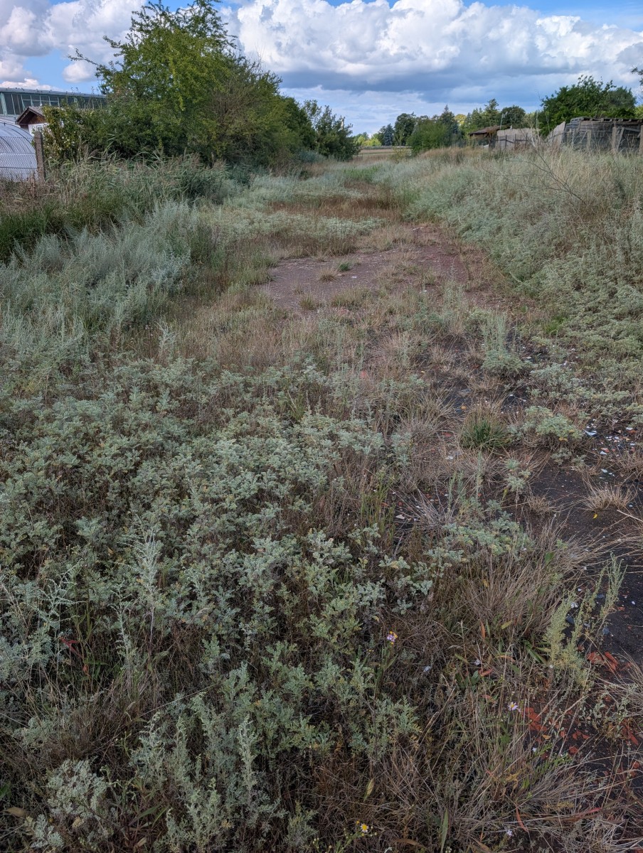 PXL_20260822_141436773.jpg