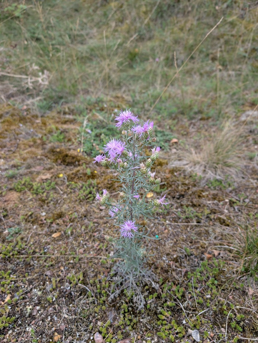 PXL_20260824_090522115.jpg