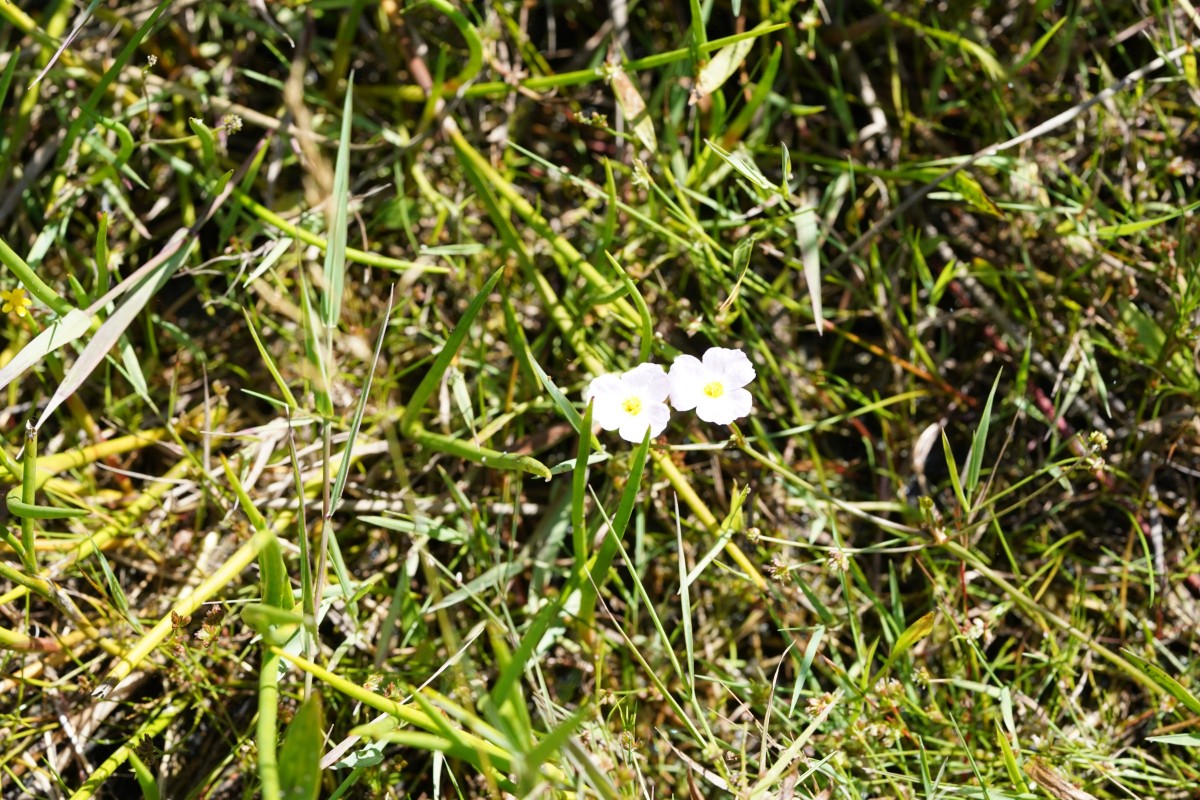 DSC06858.JPG