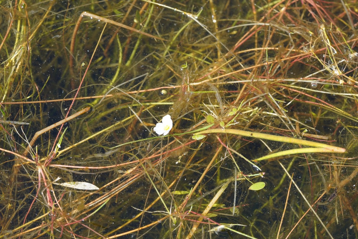 DSC06900.JPG