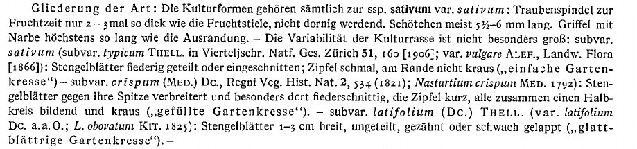 hegi.jpg