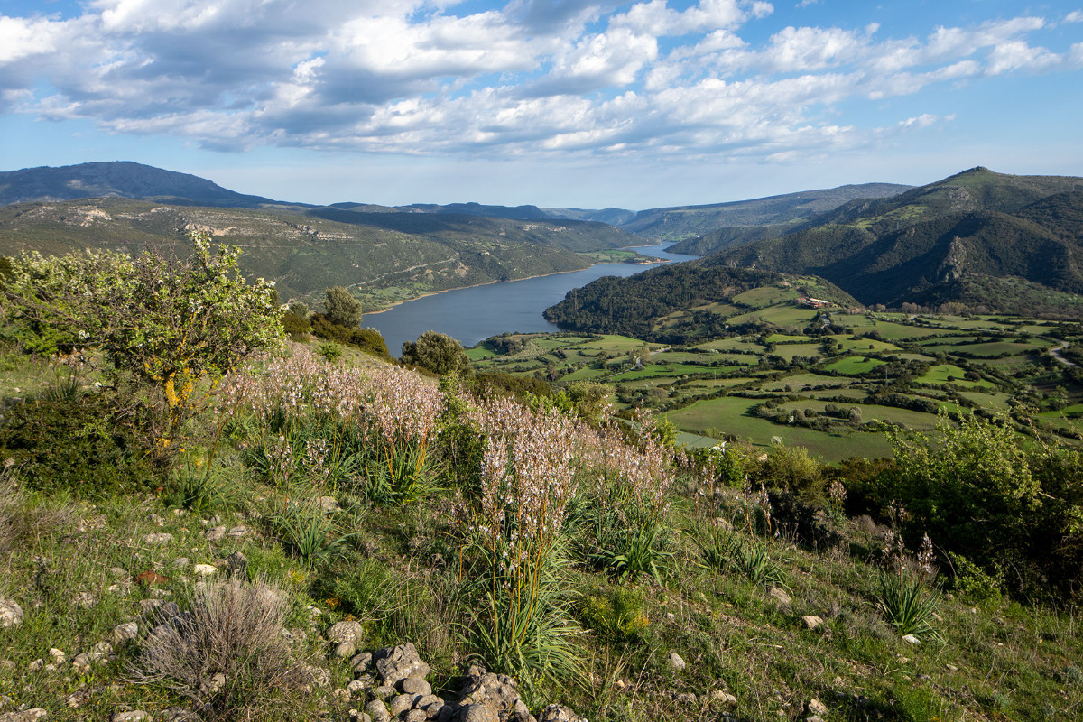 Landschaft_Lago Basso di Flumendosa__1441.jpg