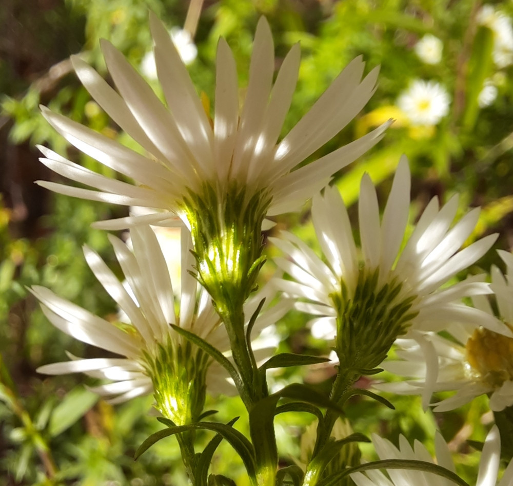 20221025_114238 klein.jpg