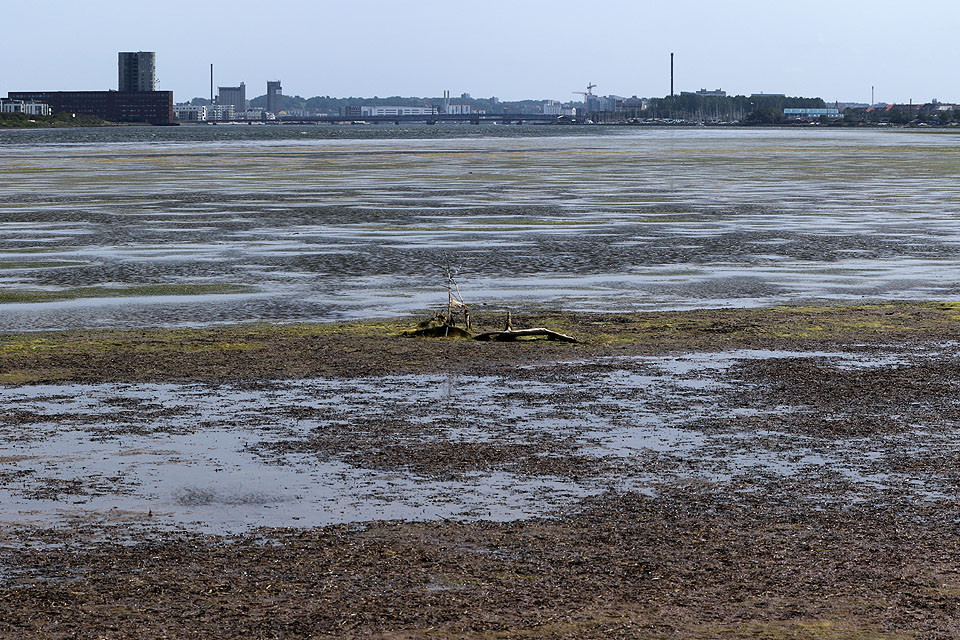 Blick_nach_Aalborg3383.jpg