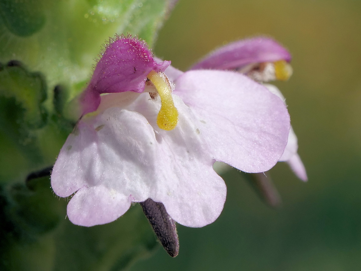P1035644K.JPG