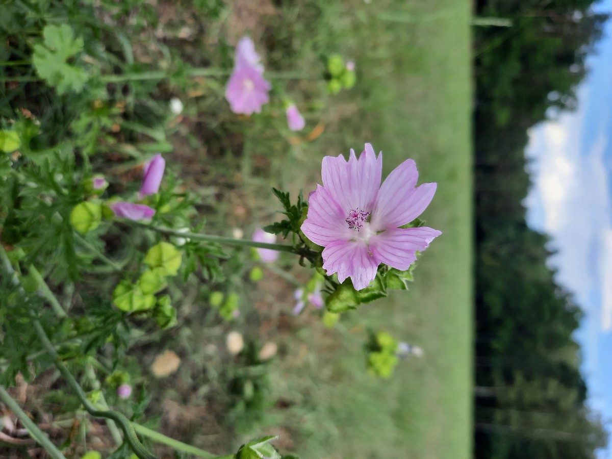 20220814_171719.jpg