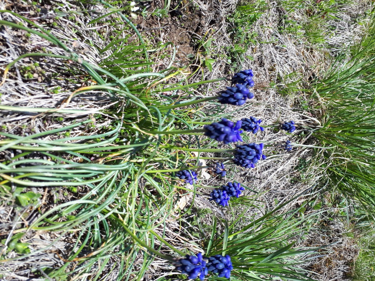 20230421_142535 (Groß).jpg